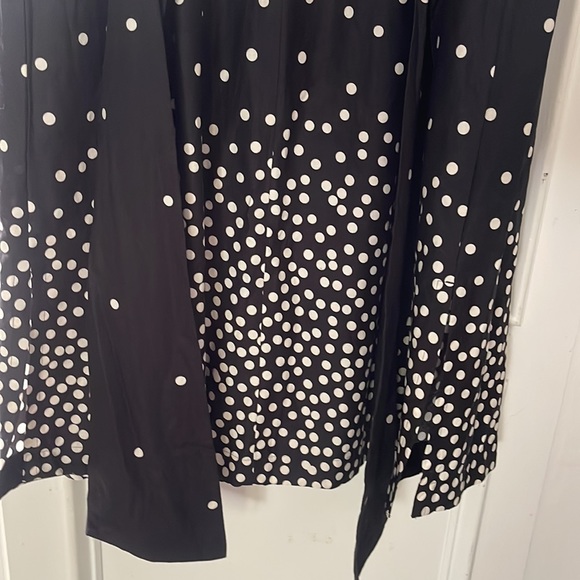 Ann Taylor Factory Polk A Dot Midi Dress - Picture 10 of 13